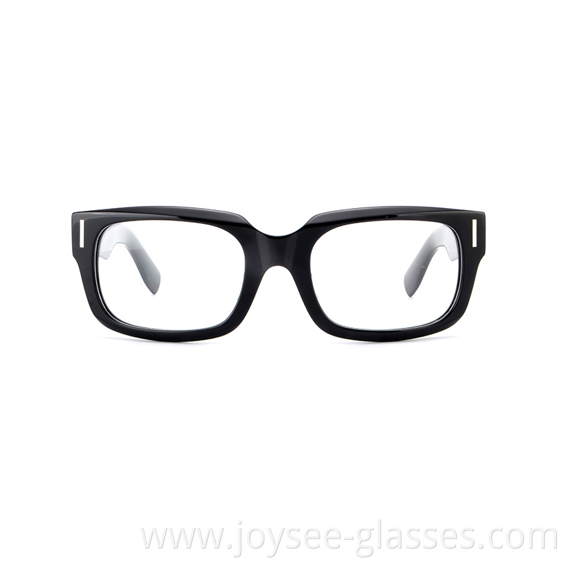 Polished Eyeglasses 1